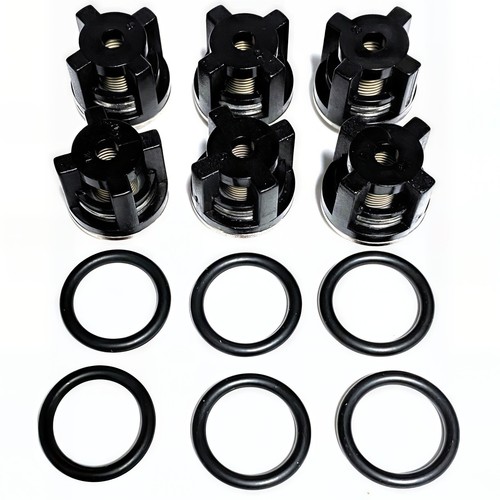 Annovi reverberi valve kit - annovi,