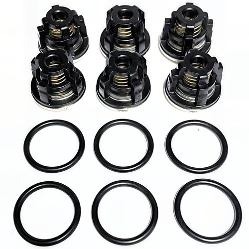 Annovi reverberi valve kit - annovi,
